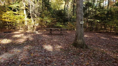 Primitive Tent Site — image 2 of 7