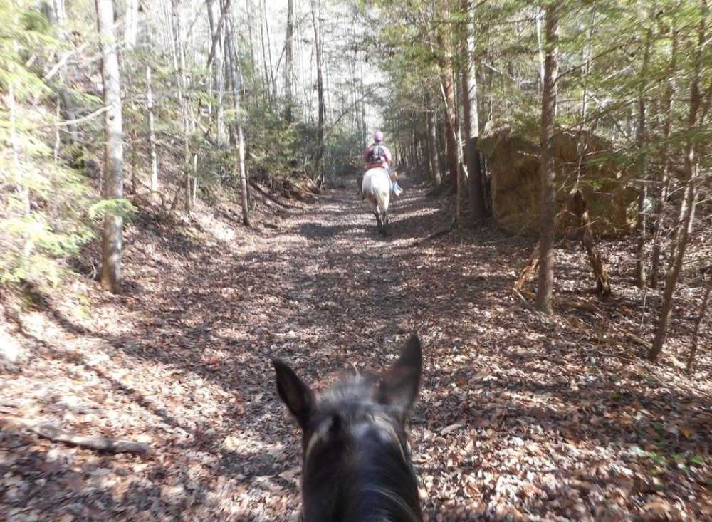 True West Campground and Stables, Jamestown, Tennessee - Photo 5