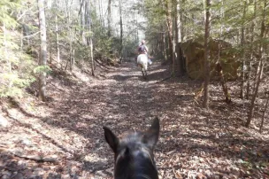 True West Campground and Stables – photo 5