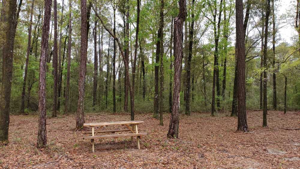 Black Creek RV Park, Freeport, Florida - Photo 5