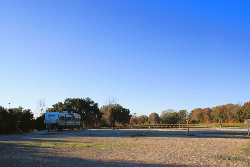 Stelly’s Campground, Washington, Louisiana - Photo 2