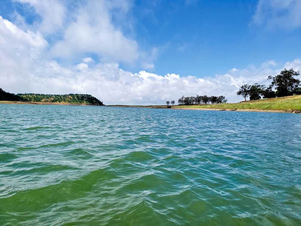 Lake Camanche South Shore - Photo 5