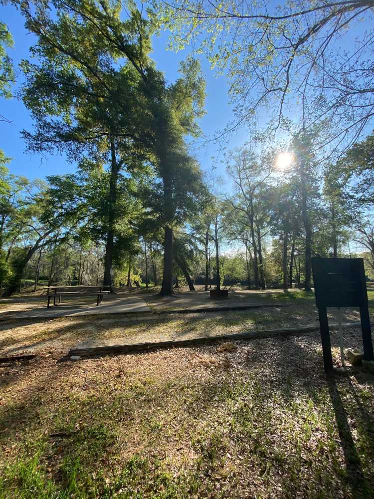 Park Image 6