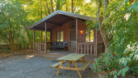 Deluxe Log Cabin — image 1 of 10