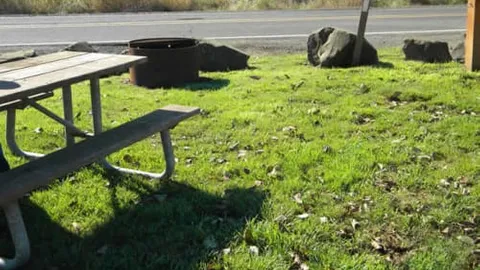 Brown Tent Site — image 2 of 6
