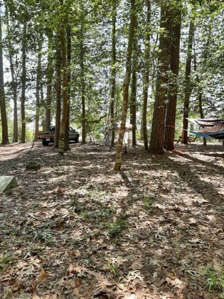 Cross Rip Campground - Deltaville, Virginia - Campspot