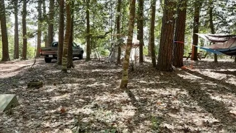 Primitive Tent Site — image 1 of 1