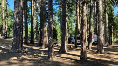 Pull-Through RV — image 1 of 5