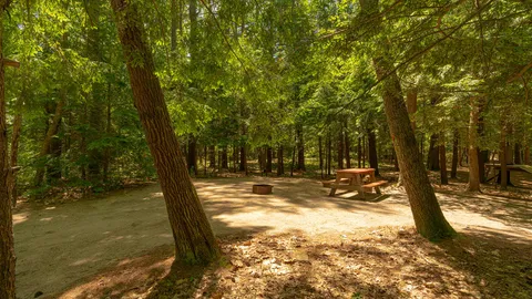 Tent Site — image 1 of 4