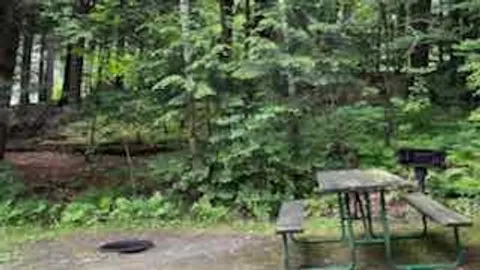 Primitive Cabin (4 people) 26 — image 3 of 3
