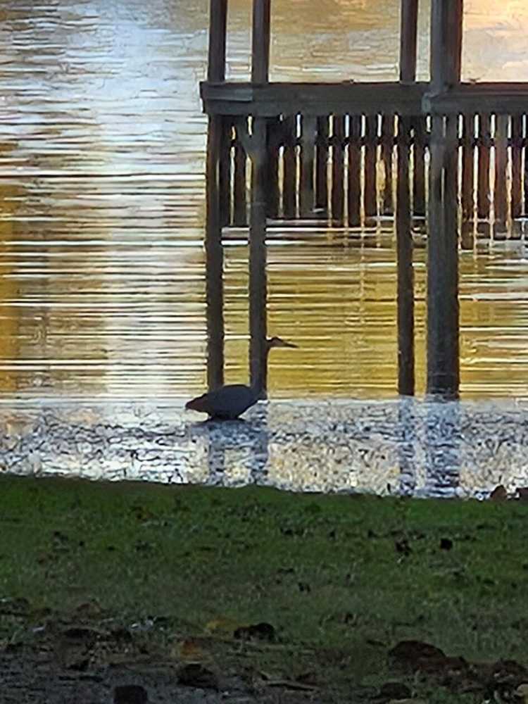 Park Image 5