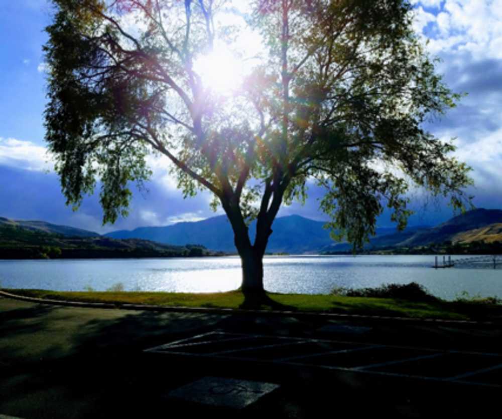 Columbia Cove RV Park, Brewster, Washington - Photo 5