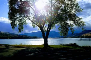 Columbia Cove RV Park – photo 5