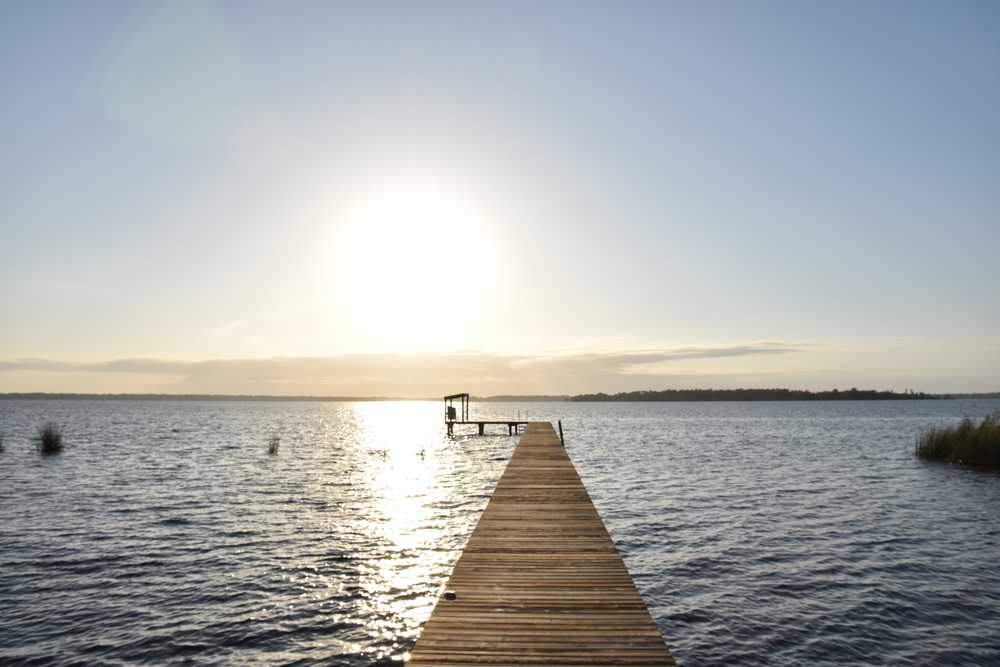 Crescent Fish Camp, Crescent City, Florida - Photo 2