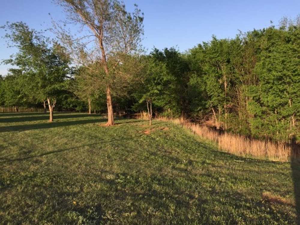 Park Image 5