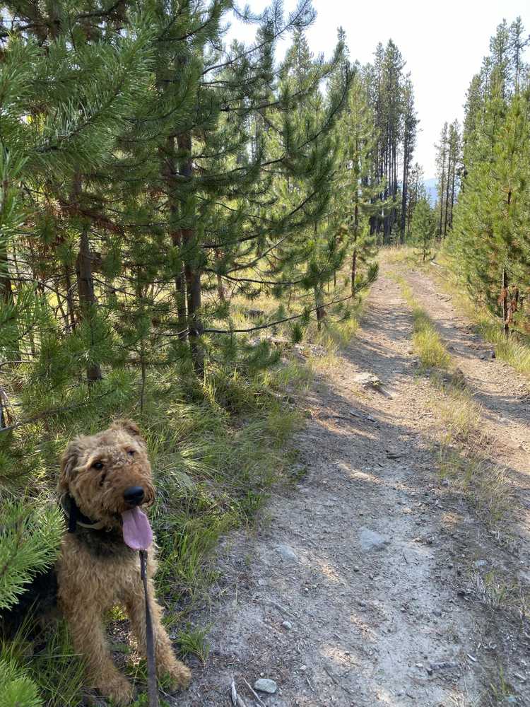 Eastgate Escape Campground - Manning Park, BC - Photo 2