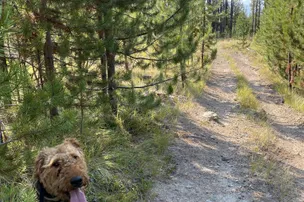Eastgate Escape Campground – photo 2