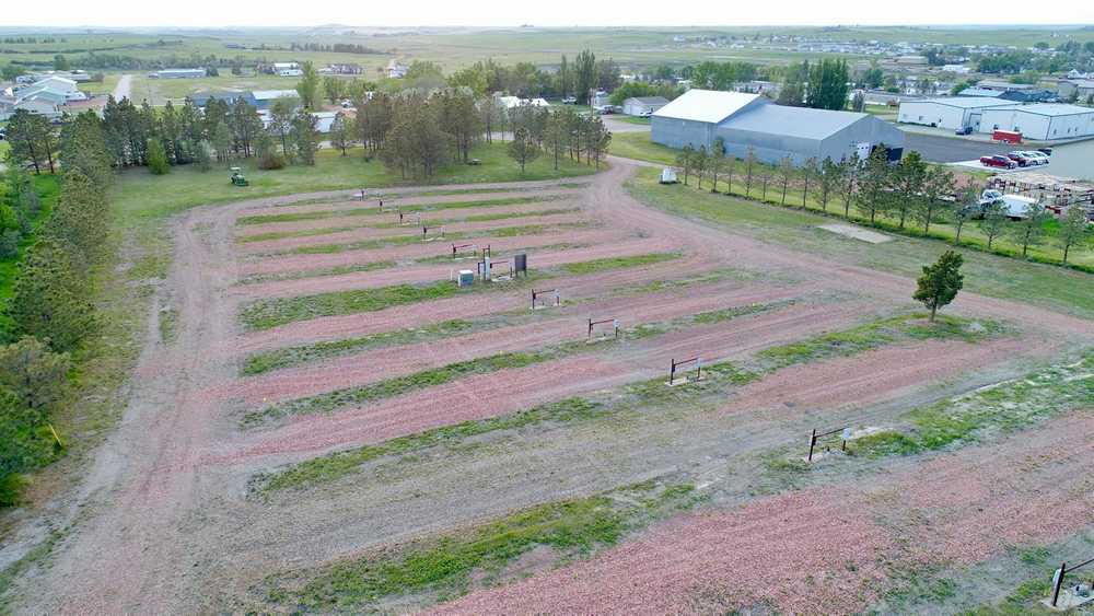 Whispering Pines Campground, Belfield, North Dakota - Photo 5