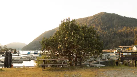 Marina View Partial Service Site — image 1 of 1