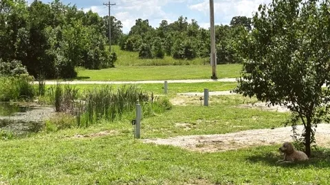30/50 Pondview Full Hookup RV Site — image 4 of 4