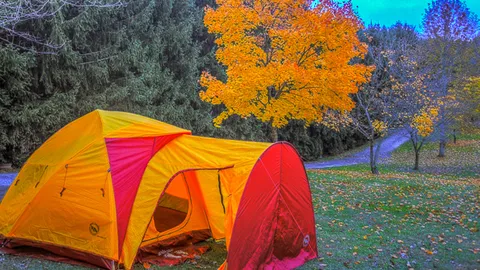 Water and Electric Tent/Pop Up Camper Site — image 1 of 2