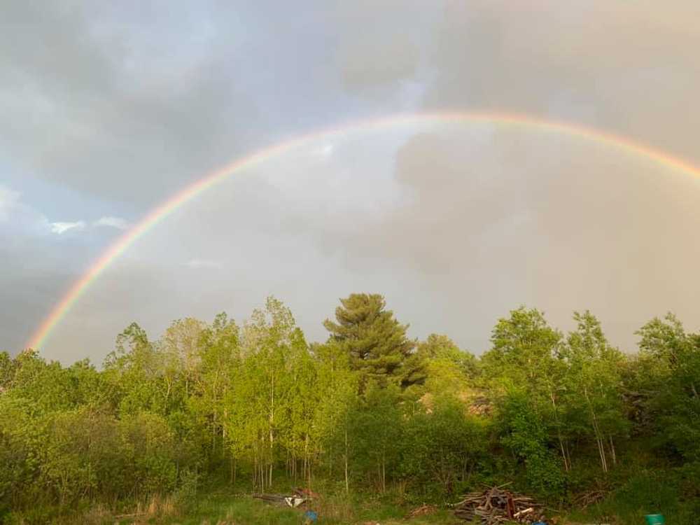 Magnetawan River Resort - Photo 5