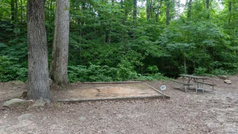 PRIMITIVE TENT — image 3 of 3