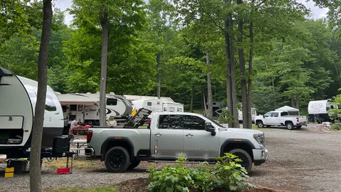 Classic Pull-Through RV Site — image 1 of 4