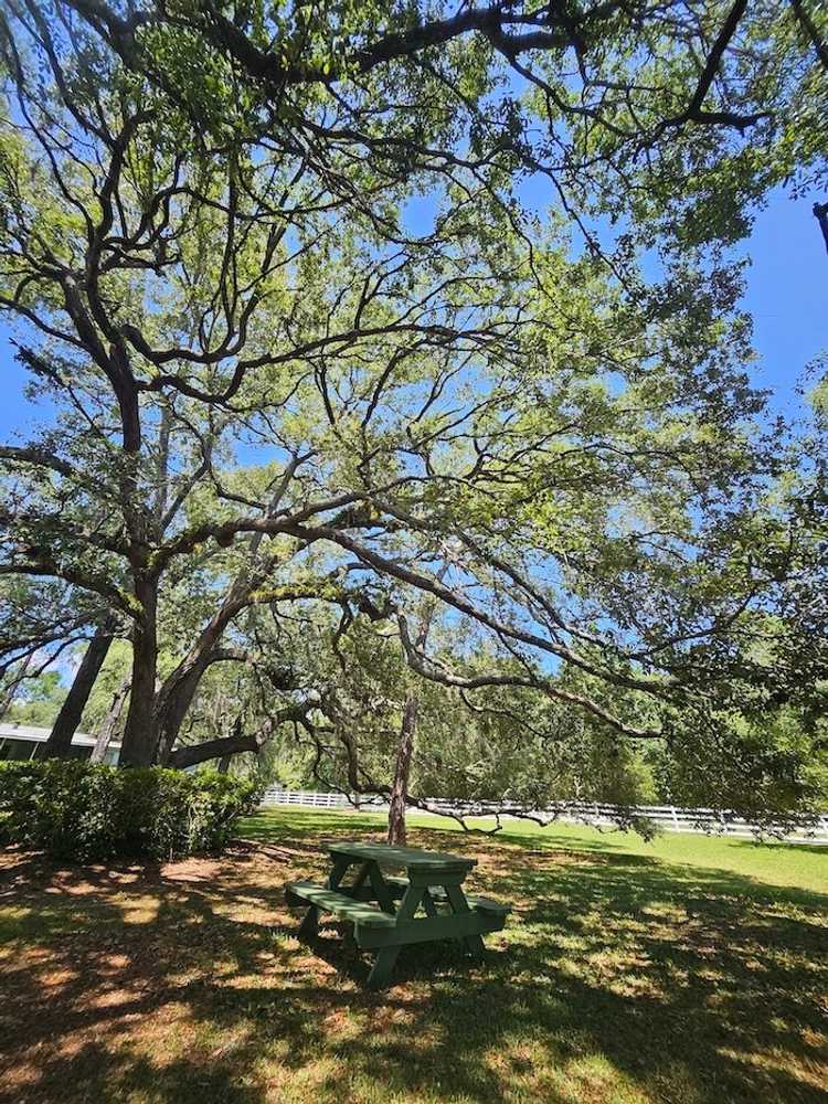 Park Image 5