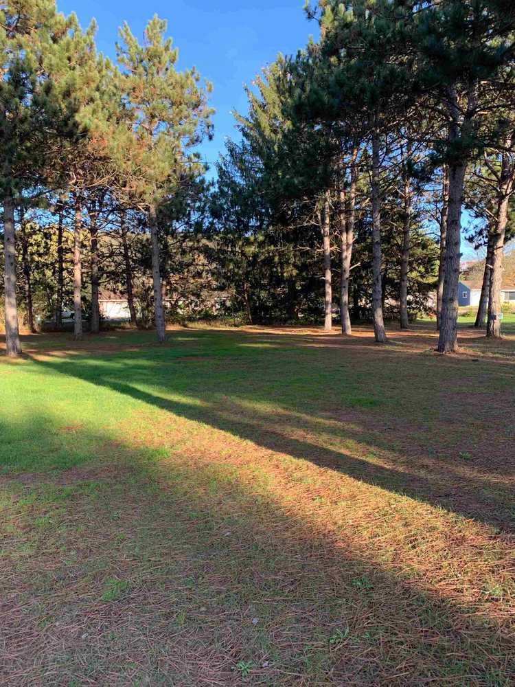 Bear Lake Campground Manawa, Wisconsin Campspot