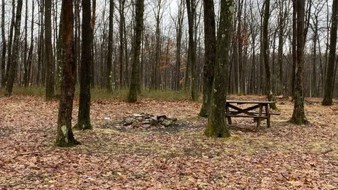 Tent Site — image 2 of 3