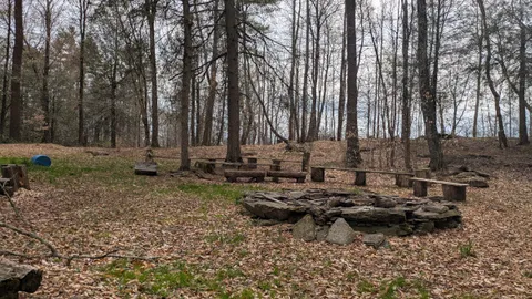 Open Primitive Tent Site — image 2 of 2