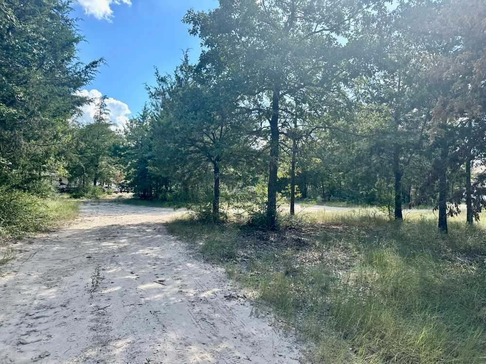 Park Image 6