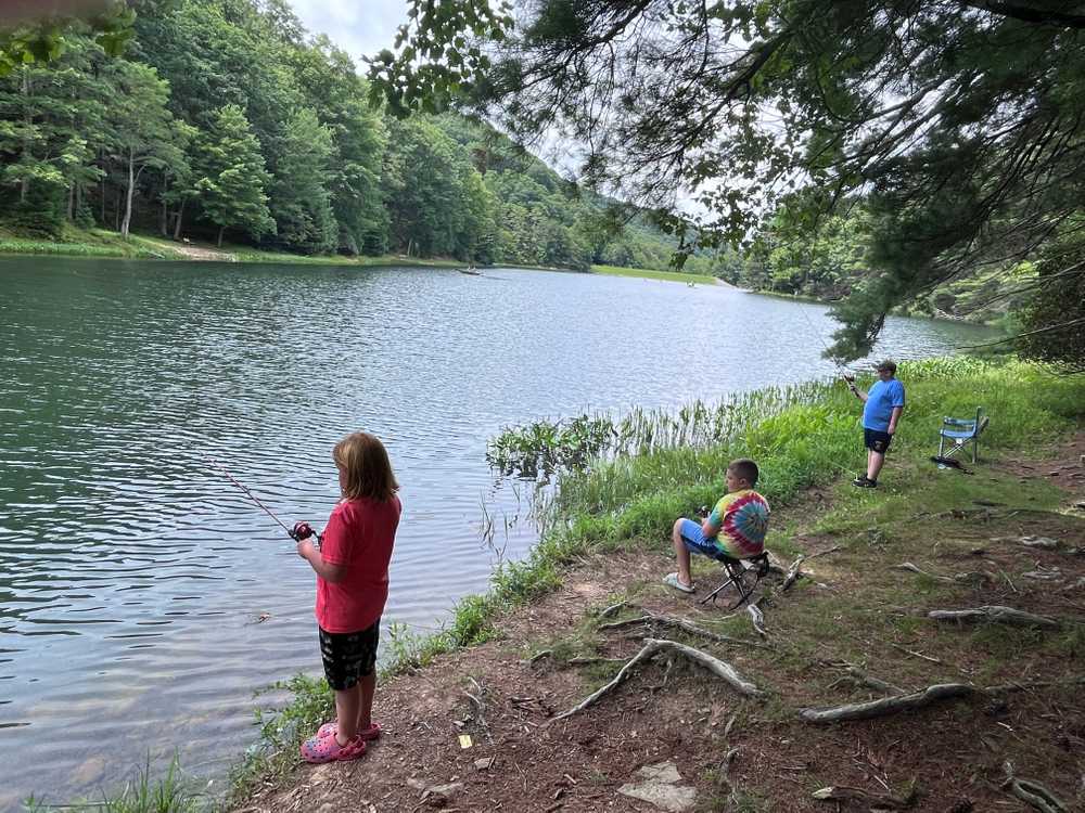 The Retreat at Watoga, Hillsboro, West Virginia - Photo 3