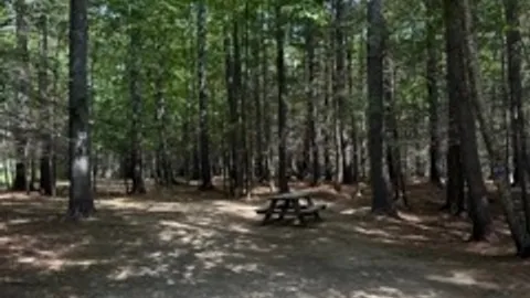Primitive Tent Site — image 1 of 5