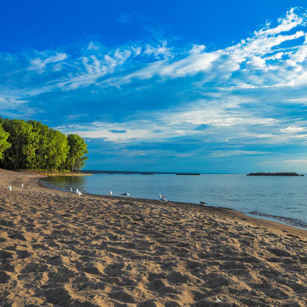 Presque isle discount tent and table