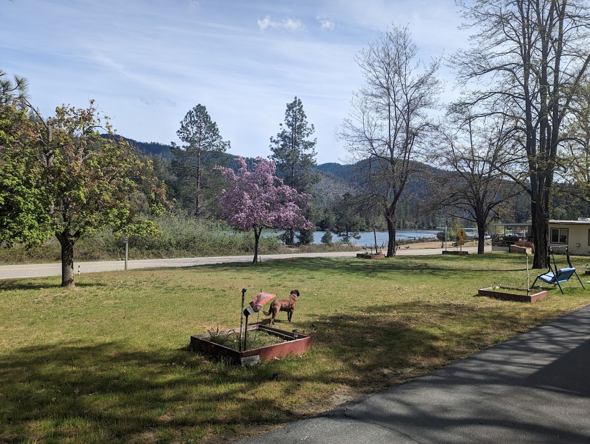 Pinecove RV Park