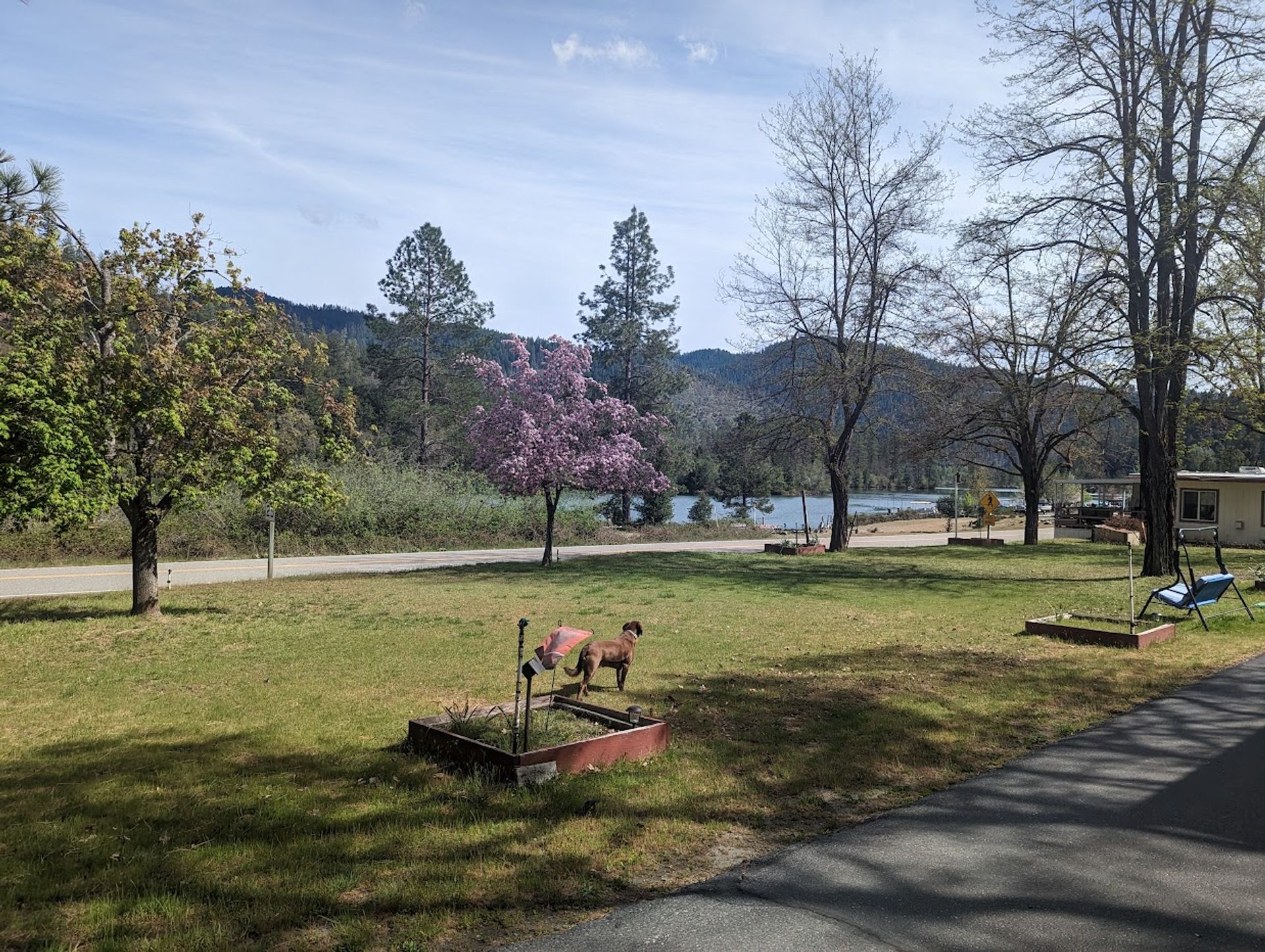 Pinecove RV Park, Lewiston, California