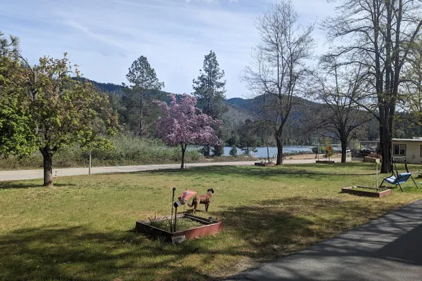 Pinecove RV Park – photo 1