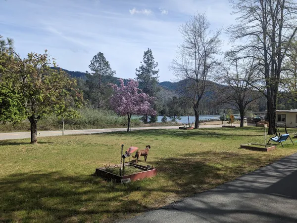 Pinecove RV Park, Lewiston, California campground