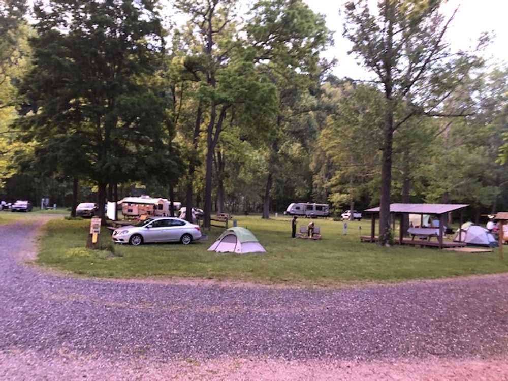 Swedish Lilac Campground Virginia - Photo 2