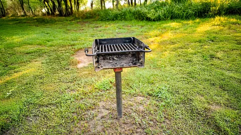 Large Campsite — image 2 of 3