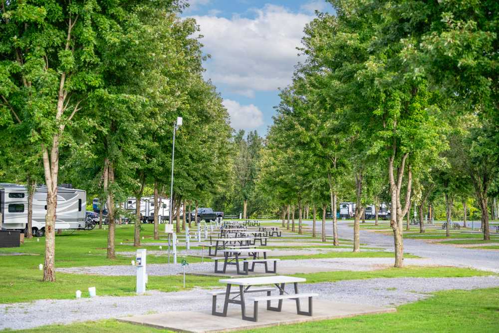 Park Image 7