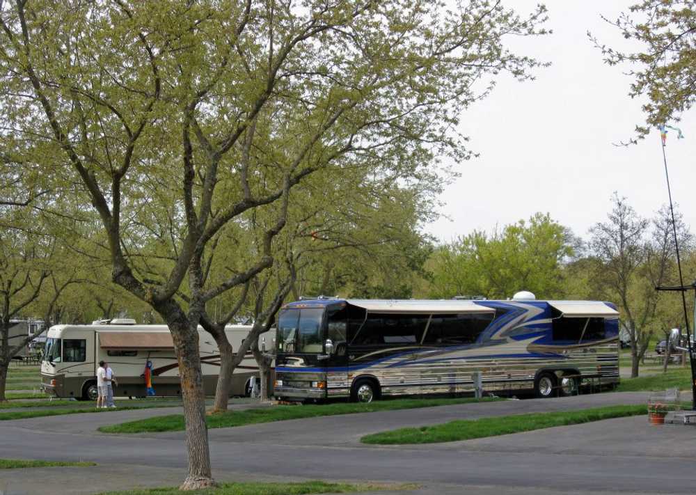 49er Village - Photo 4