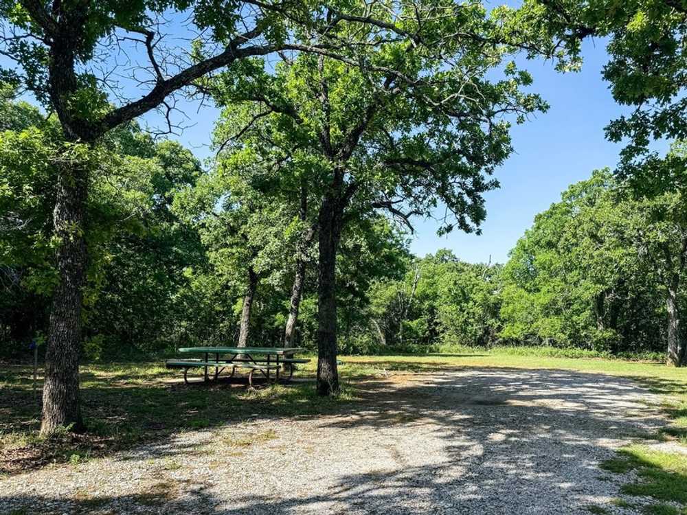 Park Image 5