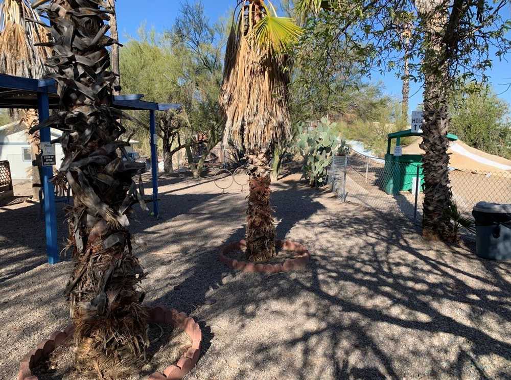 Desert Trails RV Resort (Age Restricted 40+) - Photo 2