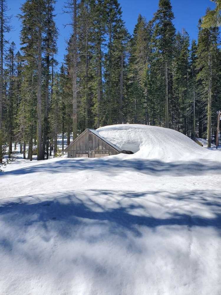 Bucks Lake Camp - Photo 5