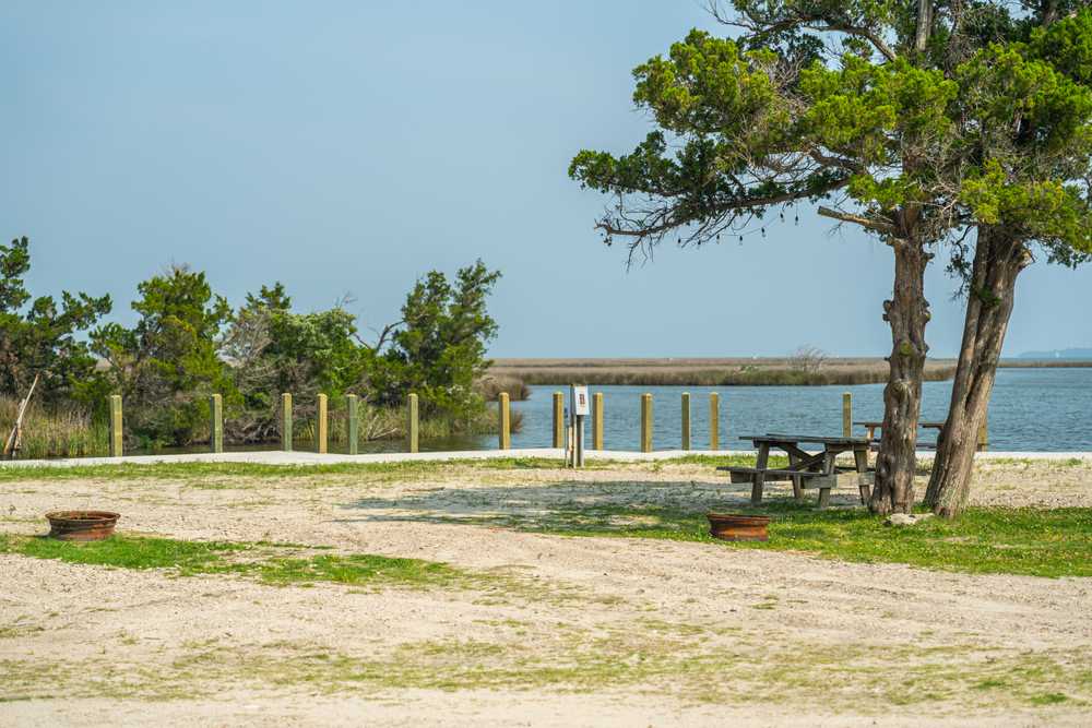 Park Image 12