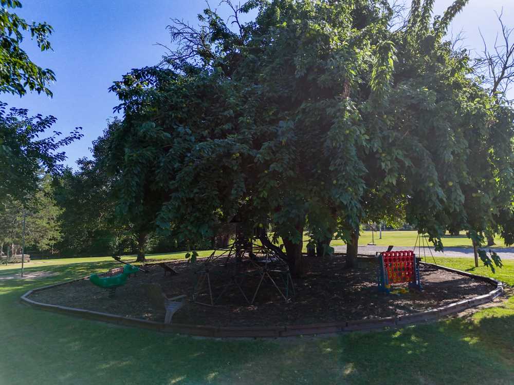 Park Image 7