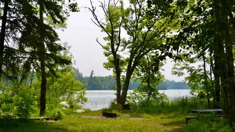 Primitive Tent Site — image 2 of 3
